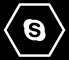 Skype Icon